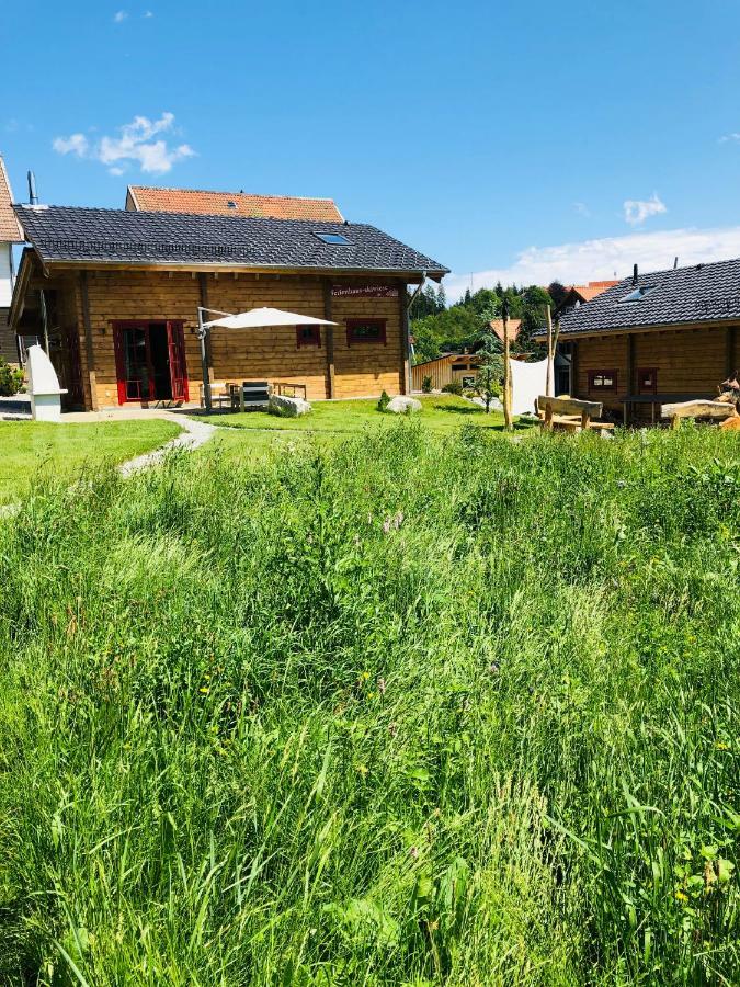 Blockhaus An Der Skiwiese เบราน์ลาเกอ ภายนอก รูปภาพ